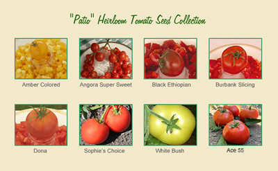 Patio Gardener Tomato Seed Collection