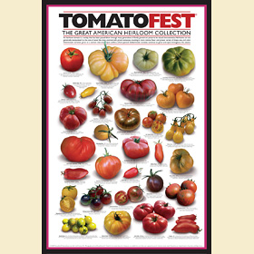"Great American Heirloom Tomato Poster"
