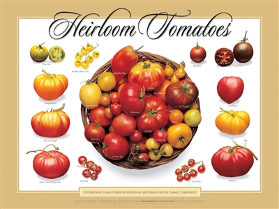 Heirloom Tomatoes Poster