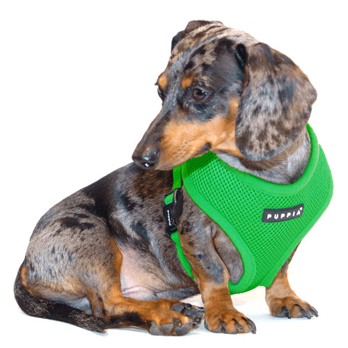 Grass Green Puppia Harness