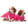 Watermelon Pink Dachshund Trenchcoat