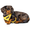 Sunshine Yellow Puppia Harness