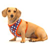 America Cushion-Fit Dachshund Harness