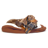 Vanilla and Chocolate Dachshund Bed