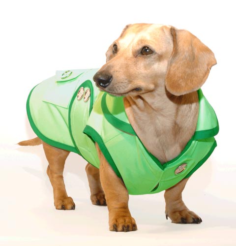 Lime Sorbet Dachshund Raincoat