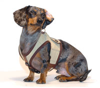 Safari Khaki Classic Never-Choke Dachshund Harness