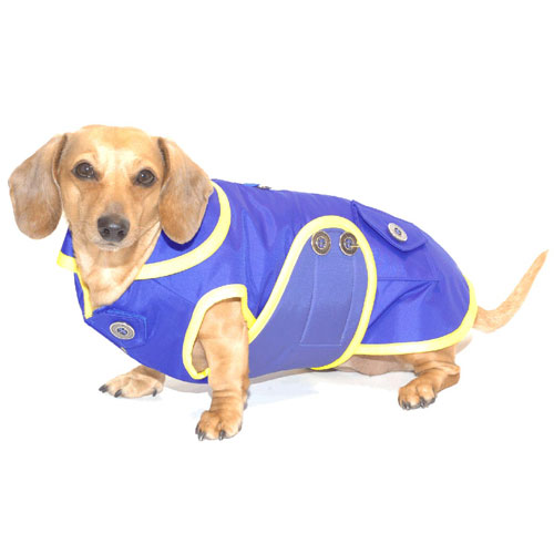 Blueberry Sorbet Dachshund Raincoat