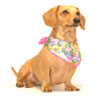 Easter Bunny Noodle Bandoodle Dachshund Bandana