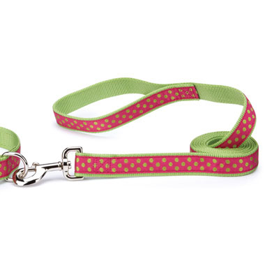 Dotty Mint & Watermelon Dachshund Leash