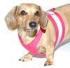 Watermelon Pink Easy-Go Never-Choke Dachshund Harness