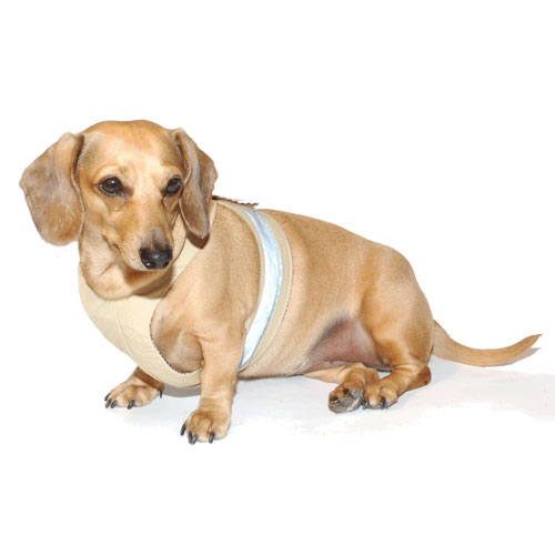 Safari Khaki Easy-Go Never-Choke Dachshund Harness