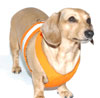 Tangerine Orange Easy-Go Never-Choke Dachshund Harness