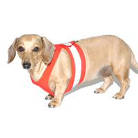 Cherry Red Easy-Go Never-Choke Dachshund Harness