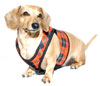 Tartan Plaid Winter Classic Never-Choke Dachshund Harness