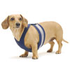 Navy Blue Easy-Go Never-Choke Dachshund Harness