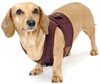 Raisin Brown Classic Never-Choke Dachshund Harness