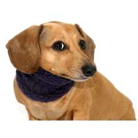 Grape Noodle Boodle Dachshund Neck Warmer