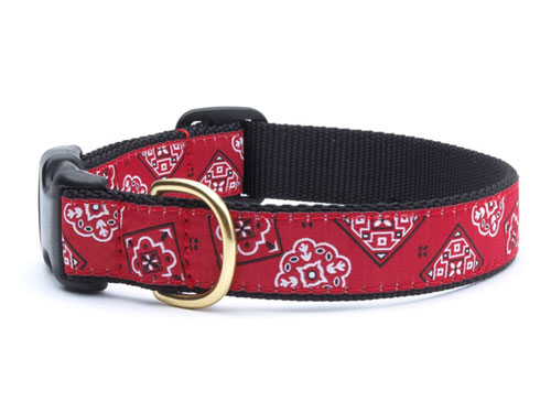 Bandana Dachshund Collar