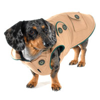 Reversible Camel Dachshund Coat