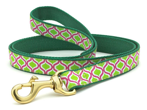 Green and Pink Genie Dachshund Lead