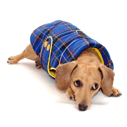 Reversible Royal Plaid Dachshund Coat