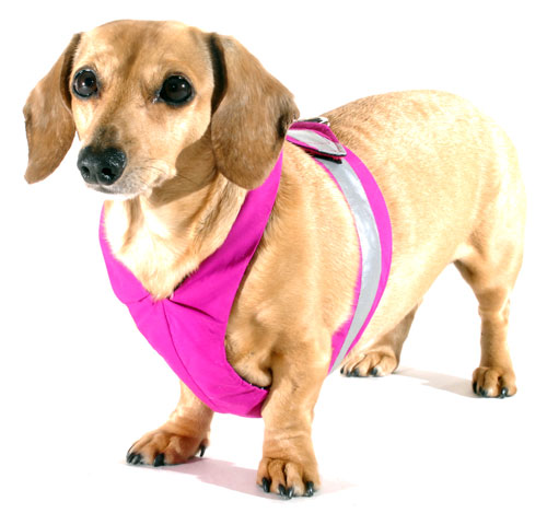 Magenta Easy-Go Never-Choke Dachshund Harness