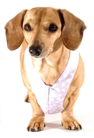 Reversible Lots of Love Easy-Go Never-Choke Dachshund Harness