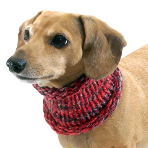 Marled Cranberry Noodle Boodle Dachshund Neck Warmer