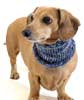 Marled Sea Mist Noodle Boodle Dachshund Neck Warmer