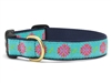 Darling Dahlia Dachshund Collar