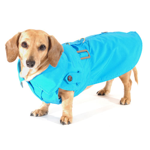 Turquoise Dachshund Trenchcoat