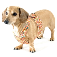 Reversible Mod Medallions Easy-Go Never-Choke Dachshund Harness