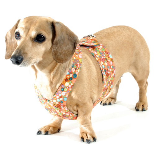 Reversible Mod Medallions Easy-Go Never-Choke Dachshund Harness