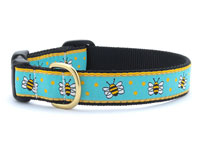 Honey Bee Dachshund Collar