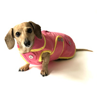 Strawberry Lemonade Sorbet Dachshund Raincoat