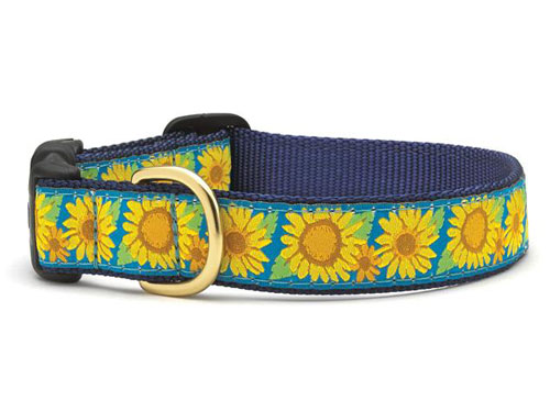 Sunflower Dachshund Collar