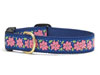 Polynesian Pink Dachshund Collar