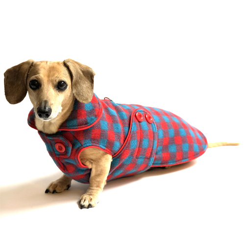 Reversible Cheerful Check Dachshund Coat