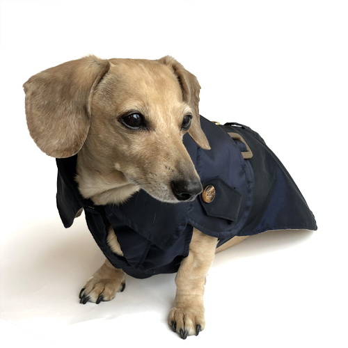 Navy Blue Dachshund Trenchcoat