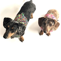 Reversible Petite Fleurs Dachshund Harness