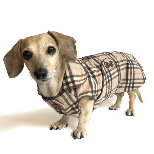 Reversible Grrrberry Plaid Dachshund Coat