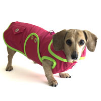 Watermelon Sorbet Dachshund Raincoat