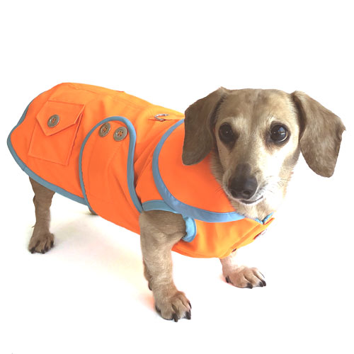 Neon Orange Sorbet Dachshund Raincoat