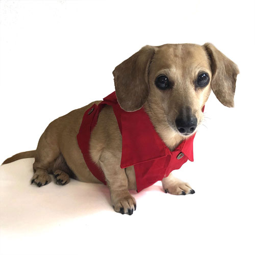 Cherry Red Dachshund Jean Jacket