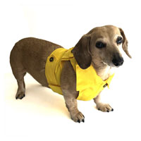 Sunshine Yellow Dachshund Jean Jacket