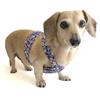 Reversible Wild Violets Dachshund Harness