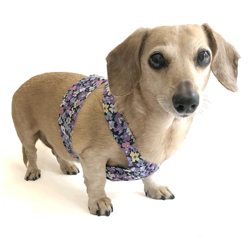 Reversible Wild Violets Dachshund Harness