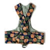 Reversible Pineapple Paradise Dachshund Harness