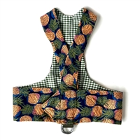 Reversible Pineapple Paradise Dachshund Harness