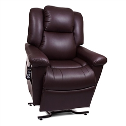 DayDreamer PowerPillow PR-632 Lift Chair